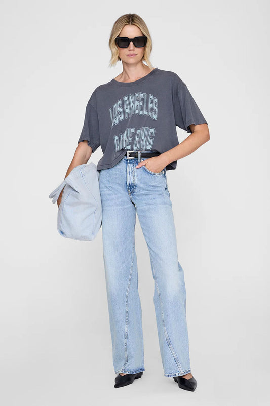 Anine Bing Johnny Cropped Tee Washed Grey