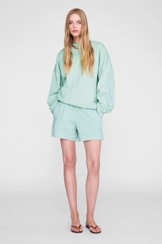 Anine Bing Kam Shorts Washed Seafoam