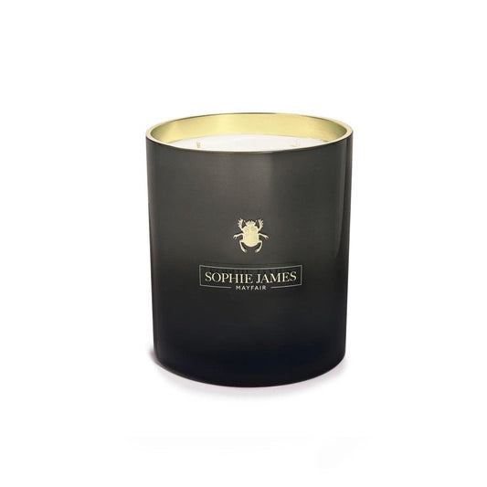 Sophie James  2kg  Luxury Beetle Candle