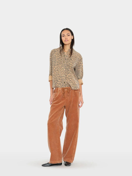 XIRENA Joey Pant Camel